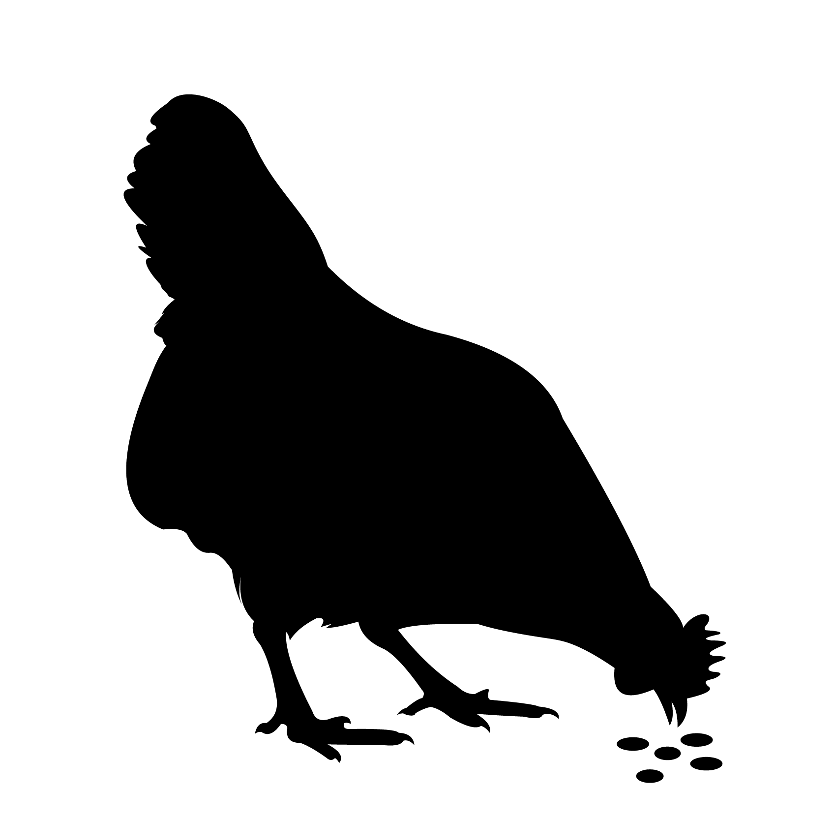 FEED not submitted image