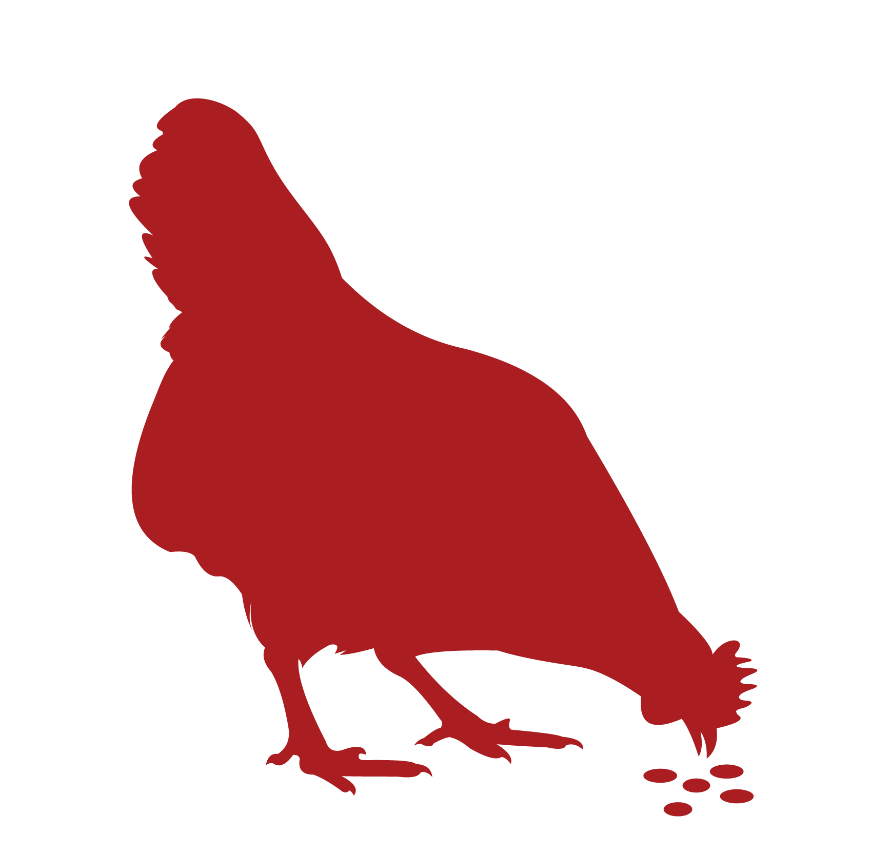 FEED not approved image